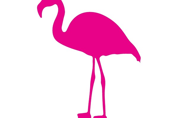 Pink Flamingo Silhouette on White Background