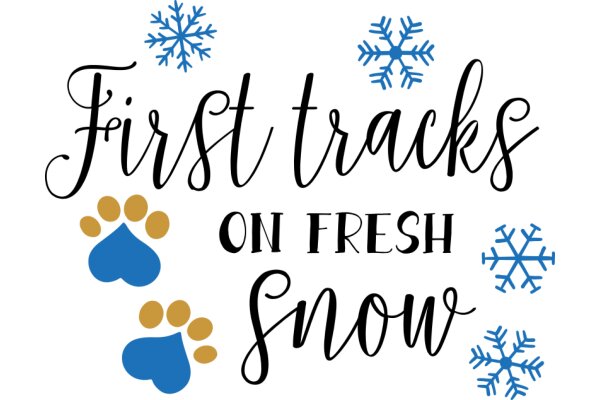Welcome to the First Tracks on Fresh Snow: A Guide to Enjoying Winter's Beauty