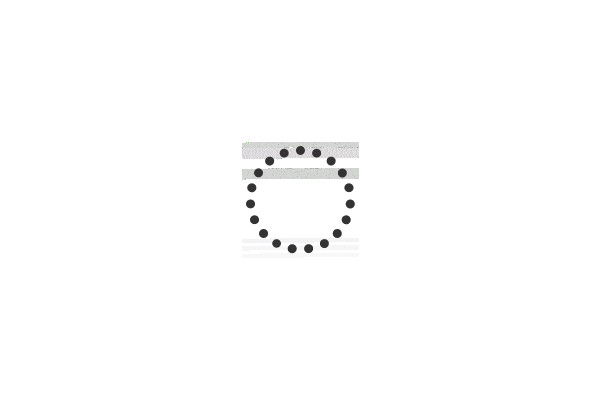 A Circular Array of Black Dots.