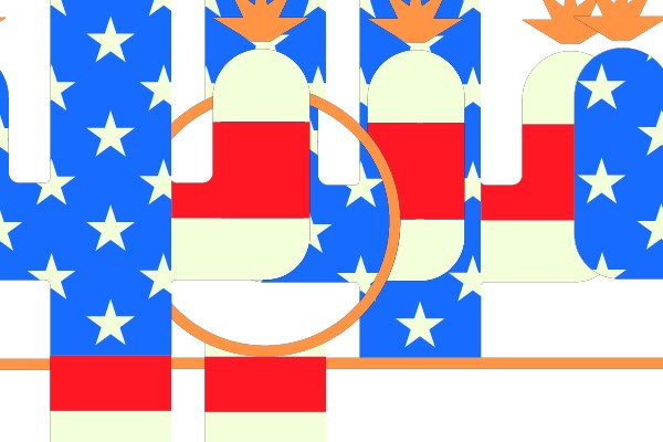 American Flag Cactus Puzzle