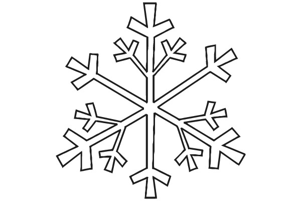 A Snowflake Drawing