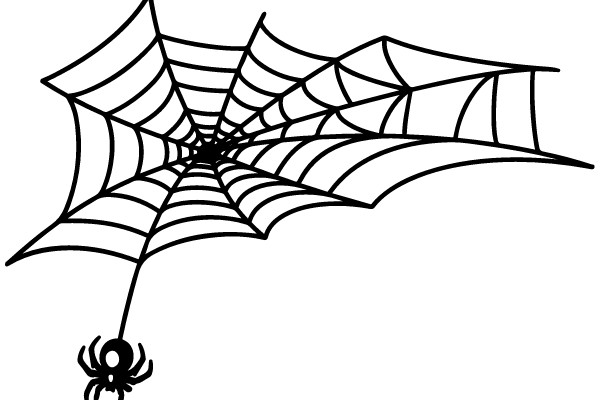Spider Web with Spider