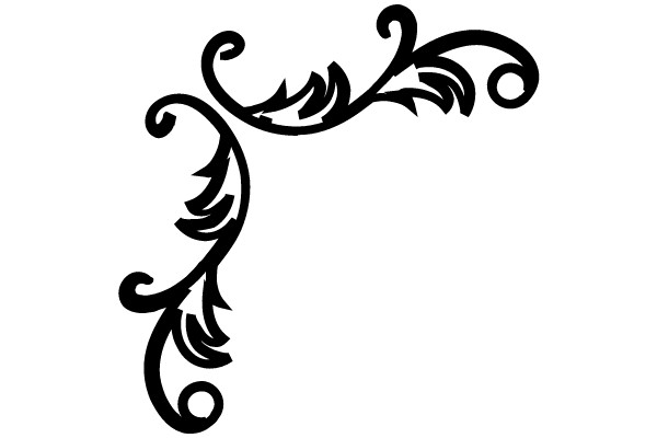 Ornamental Flourish Decorative Frame