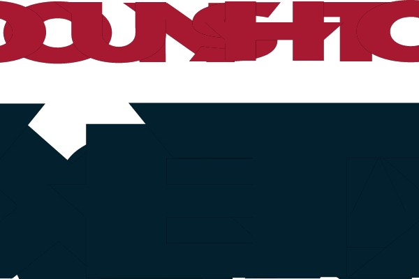 Houston Texans Logo
