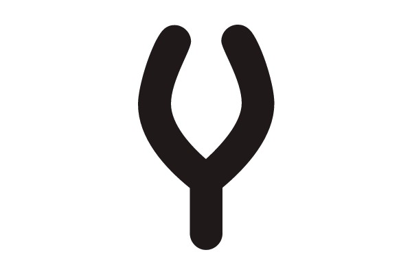 Y-shaped Object