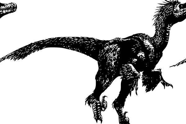 Spinosaurid Dinosaurs