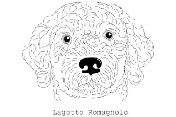 A Whimsical Portrait of a Dog: The Art of Lagotto Romagnolo