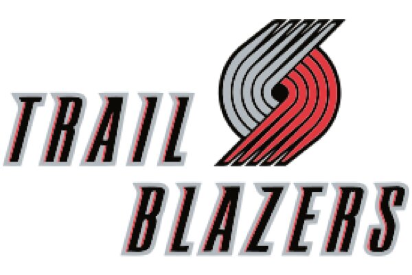 Trailblazers: A Journey Through the World of Professional Basketball