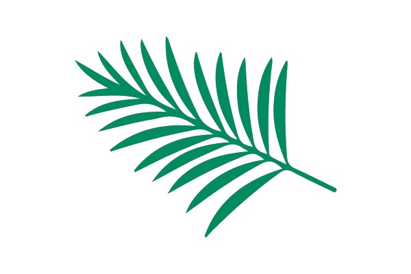Palm Leaf Silhouette