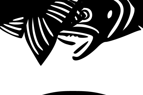 Leaping Fish and Wavy Lines
