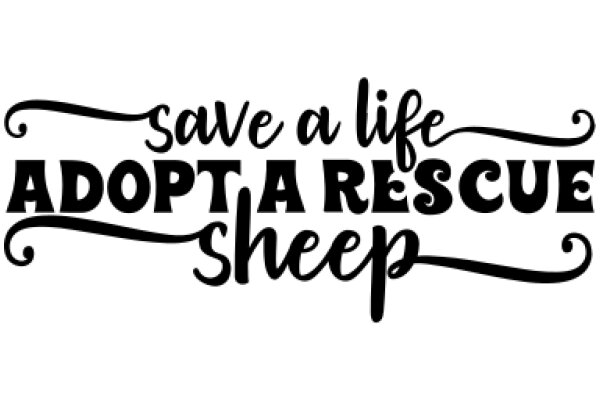 Adopt a Rescue Sheep: Save a Life, Adopt a Sheep