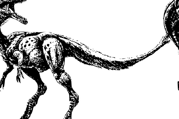 Tyrannosaurus Rex Illustration