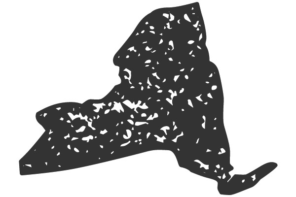 New York State Outline