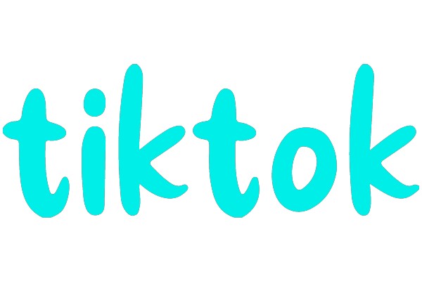 TikTok Logo