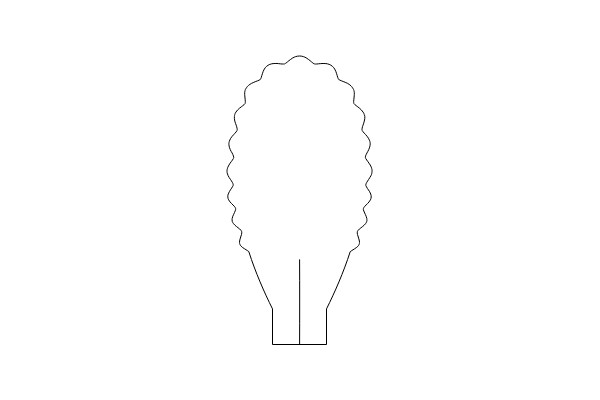 A Simple Line Drawing