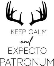 Keep Calm and Expecto Patronum
