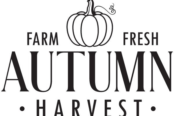Autumn Harvest: A Seasonal Celebration of Farm Fresh Produce