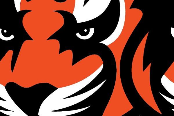 Tiger Head Logo