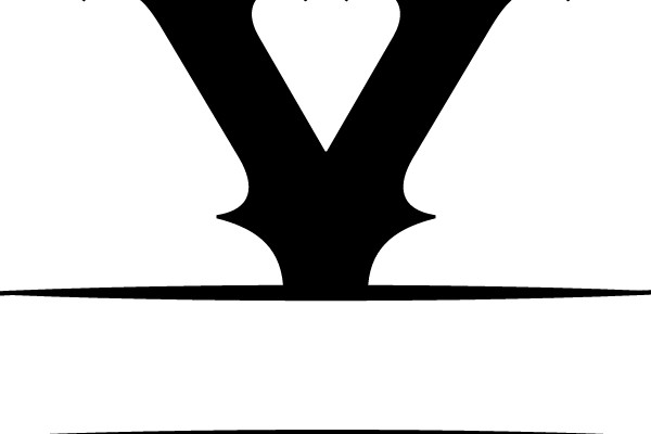 Black Letter Y on White Background