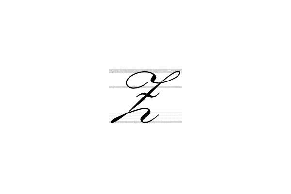 Elegant Calligraphy Script