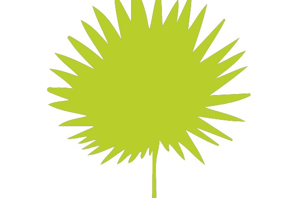 Sunburst Clipart