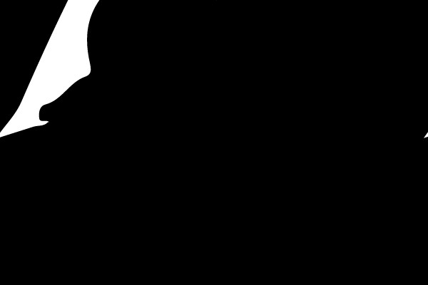 Silhouette of a Dancer