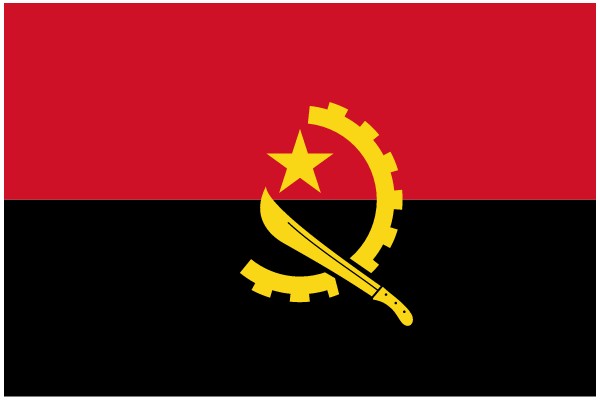 Vibrant Red and Black Flag with a Yellow Star and Gear Symbol