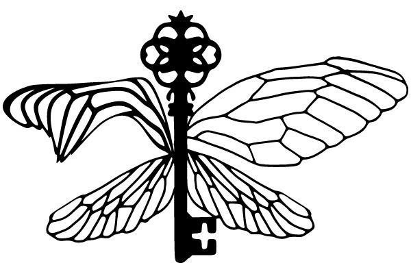 Medical Key with Wings