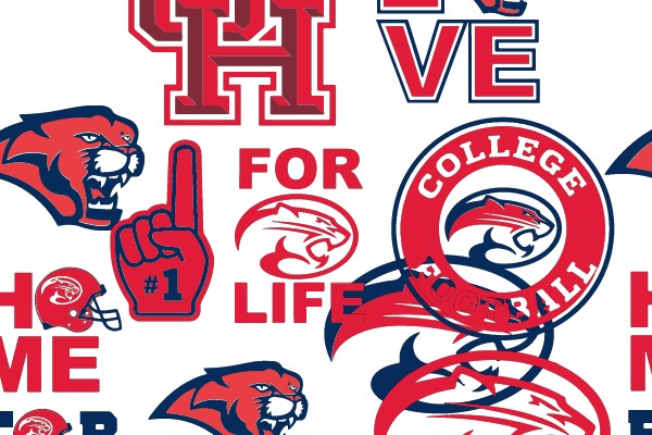 Panther Pride: Embracing College Football Spirit