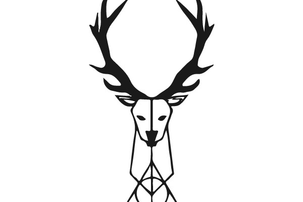 Deer Head with Celtic Knot