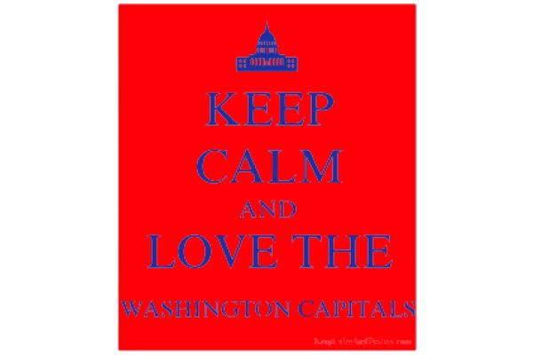 Keep Calm and Love the Washington Capitals