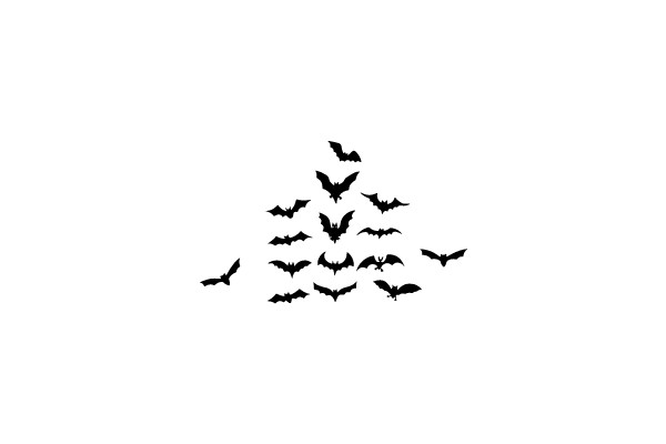 Flying Bats Silhouette