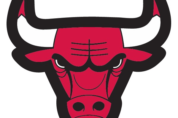 Bull Head Logo