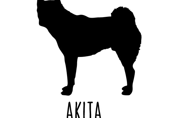 Akita