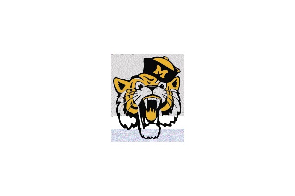 Tiger Mascot Logo