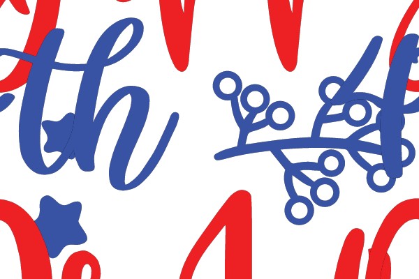 4th of July Celebration