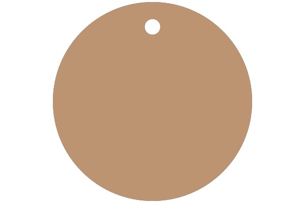 A Solid Brown Circle with a Hole in the Center