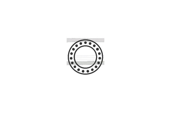 Diagram of a Ball Bearing with Internal Components Highlighted