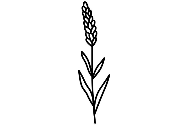 Simplistic Line Drawing of a Wheat Ear