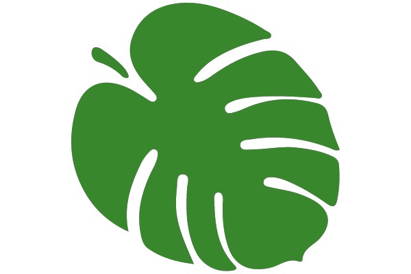 Tropical Monstera Leaf