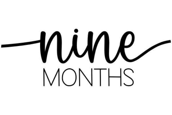 Nine Months: A Visual Journey Through Pregnancy