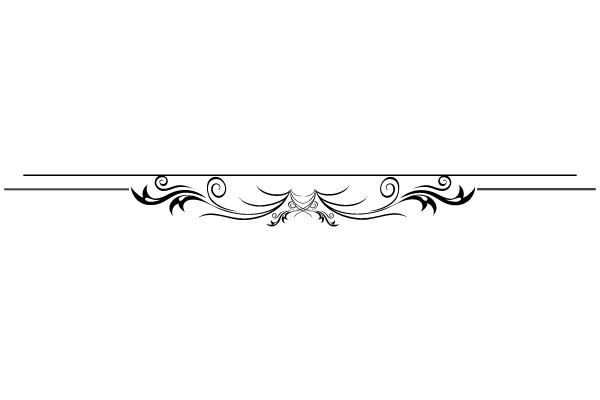 Classic Ornate Flourish Border Design