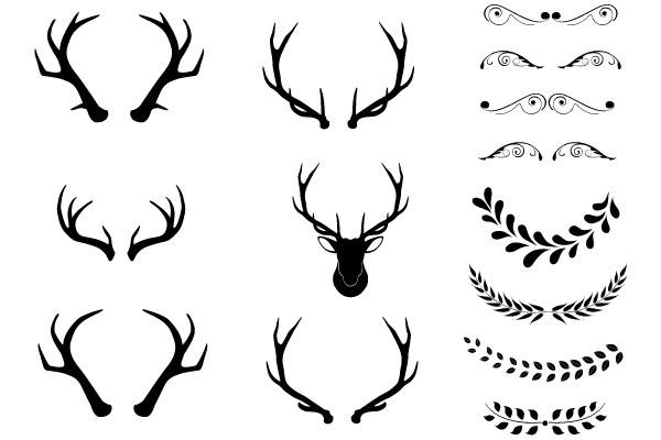 Nature's Art: Silhouette Collection