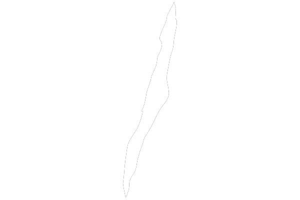 Abstract Line Artwork