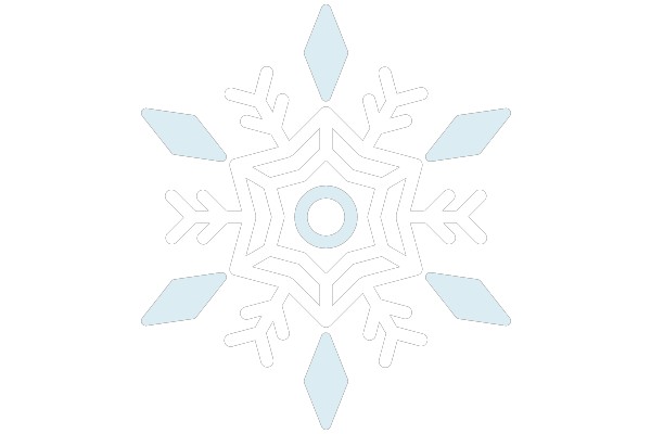 Winter Snowflake Icon