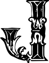 Stylized Letter 'Y' with Decorative Elements