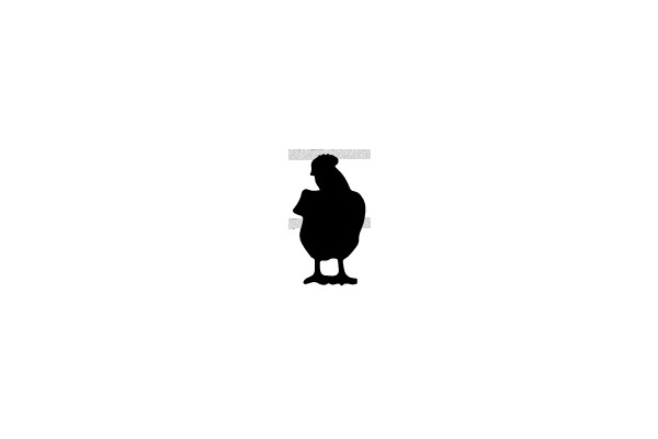 Chicken Silhouette