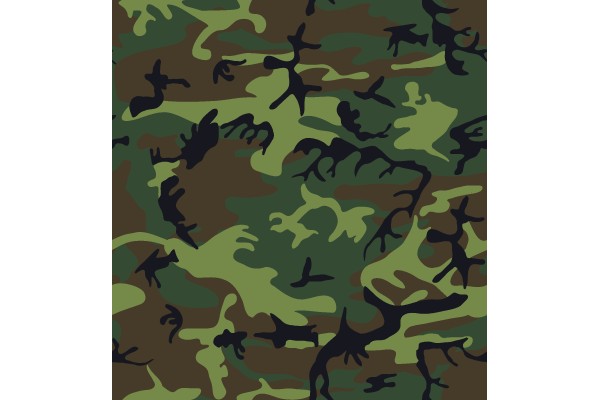 Camouflage Pattern