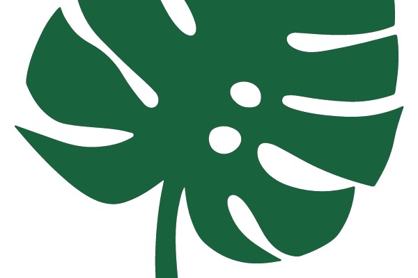 Monstera Leaf Icon