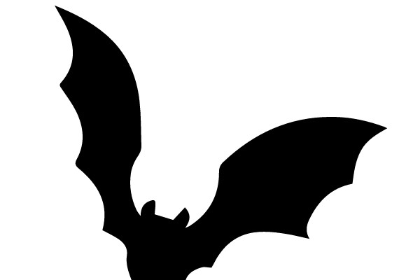 Silhouette of a Bat